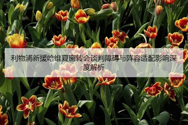 利物浦新援哈维夏窗转会谈判障碍与阵容适配影响深度解析